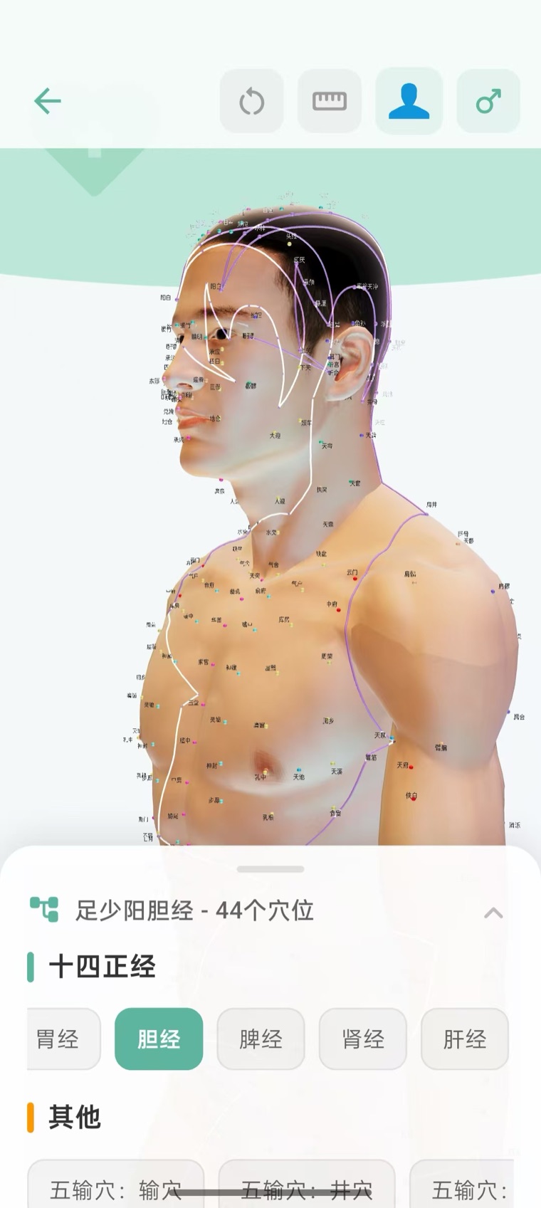 3D经络系统